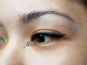 permanent make-up